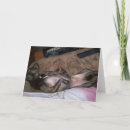 Suche nach kleiner hund karten Familie