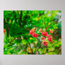 Suche nach tropische poster Blumig