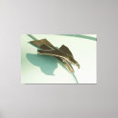 Suche nach chevrolet leinwandbilder Antique