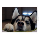 Suche nach heiseres postkarten Niedlich