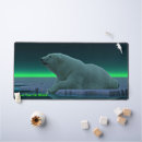 Suche nach nordlichter von alaska mousepads Natur