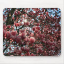 Suche nach rosa magnolien mousepads Baum