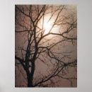 Suche nach moonlight poster Vollmond