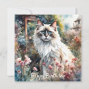 Suche nach ragdoll katze karten Himalayisch