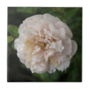 Suche nach tau fliesen Blume
