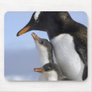 Suche nach kolonie mousepads Vogel