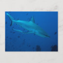 Suche nach unterwasser postkarten Blau