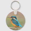 Suche nach eisvogel accessoires Fluss