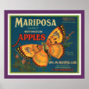 Suche nach mariposa poster Obst