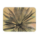 Recherche de plantes magnets Cactus