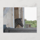 Recherche de stable cartes postales Animaux