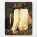 Suche nach gentoo mousepads Wildnis