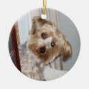 Suche nach yorkie ornamente Weihnachten