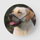 Recherche de foyer sur le premier plan posters Chien