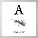 Recherche de entomology posters Insect