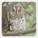 Recherche de duc autocollants Hibou