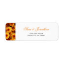 Recherche de chrysanthèmes autocollants Floral
