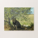 Suche nach kalahari puzzle Afrika