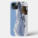 Recherche de mammifère coques Paysage