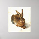 Suche nach hare leinwandbilder Bunny