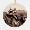 Suche nach exotisch ornamente Tier