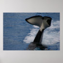 Recherche de queue baleines posters Bleu