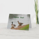 Recherche de canard heureux cartes postales Canards