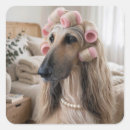 Suche nach schlafzimmer aufkleber Hund