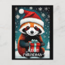 Recherche de red panda cartes postales Porter
