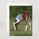 Suche nach bob postkarten Weiden