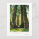 Recherche de noël arbre cartes postales Cruz