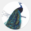 Recherche de paon vintage autocollants Animal
