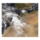 Suche nach plumes poster Fotografie