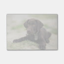 Suche nach schokolade post it Niedlich