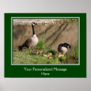Recherche de canada goose posters Animal