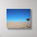 Recherche de quiver posters Namib