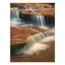 Recherche de canyon de zion posters Rivière