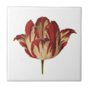 Suche nach vintage tulpe fliesen Für sie