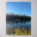 Recherche de reflet art Arbre
