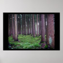 Suche nach bayerischer wald andere poster Deutschland