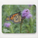 Recherche de monarque tapis souris Insectes