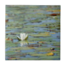 Suche nach wasserlilie fliesen Lilienpolster