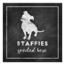 Recherche de pit bull terrier posters Staffordshire