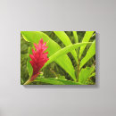 Suche nach ingwer leinwandbilder Blume