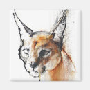 Recherche de de lynx magnets Animal
