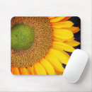 Recherche de pétales tapis souris Tournesol