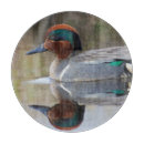 Suche nach ente schneidebrettchen Sumpf