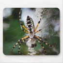 Suche nach spinne im netz mousepads Gruselig