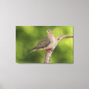 Suche nach vogel leinwandbilder Natur