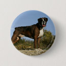 Recherche de canin badges Position